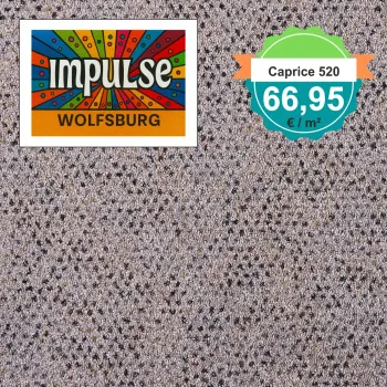 Girloon Caprice 520 – Draufsicht auf Girloon Caprice 520, ergänzt durch ein Preisetikett.